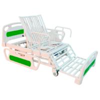 Cama Clínica Electrica con Inodoro