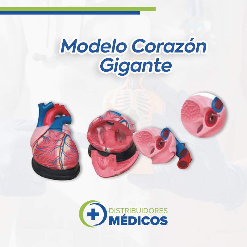 CORAZON T. JUMBO DESARMABLE EN 3 PZAS. AMPLIADO EN 4 VECES