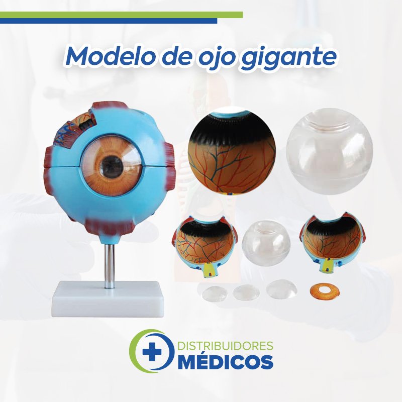 OJO GIGANTE DESARMABLE EN 7 PZAS. AMPLIANDO EN 6 VECES