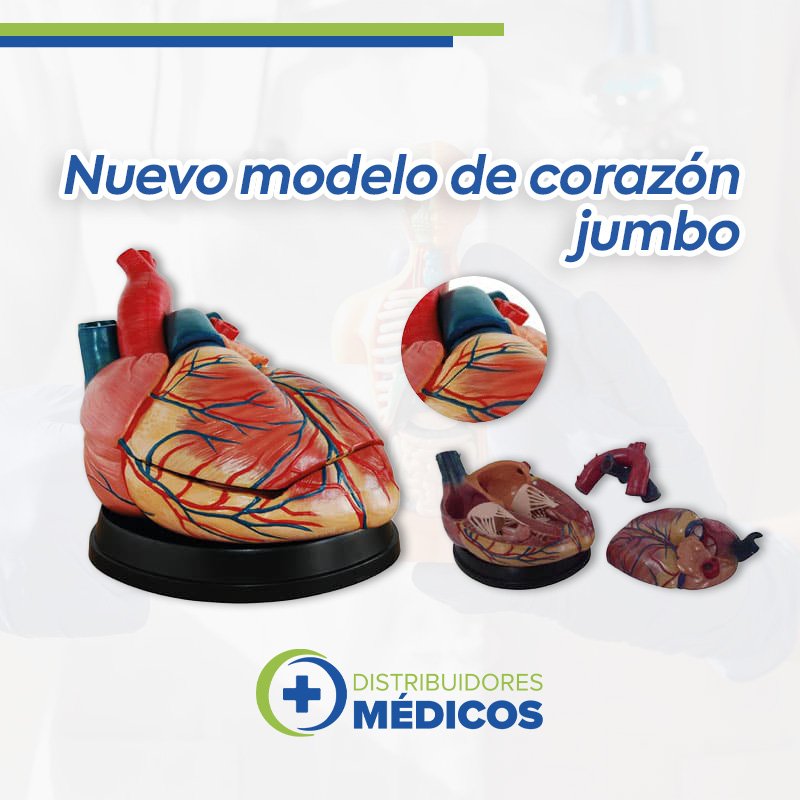 CORAZON T. JUMBO DESARMABLE EN 3 PZAS. AMPLIADO EN 4 VECES